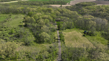 30-Acre Luxury Log Estate | Trophy Whitetail Sanctuary & Private - image 40