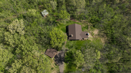 30-Acre Luxury Log Estate | Trophy Whitetail Sanctuary & Private - image 9