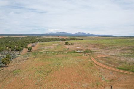 Acreage For Sale with Country Home in Hesperus Colorado - image 15
