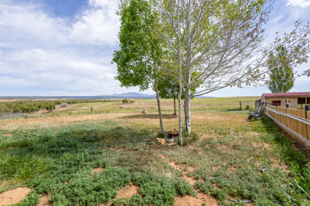 Acreage For Sale with Country Home in Hesperus Colorado - image 22