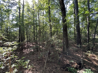 East Texas Lot For Sale In Established Neighborhood - image 11