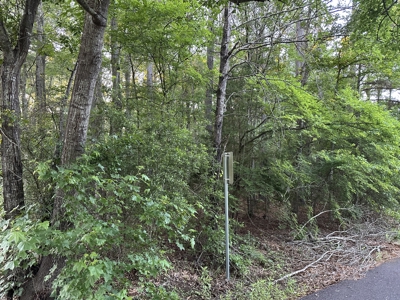 East Texas Lot For Sale In Established Neighborhood - image 4