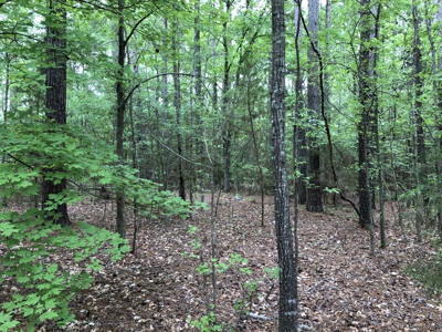 East Texas Lot For Sale In Established Neighborhood - image 18