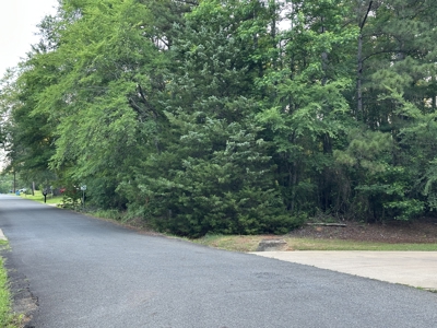 East Texas Lot For Sale In Established Neighborhood - image 5