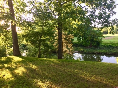 Ozarks Southfork River Country Home And Equine Farm For Sale - image 9