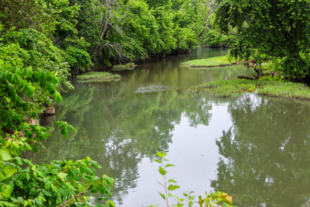 Ozarks Southfork River Country Home And Equine Farm For Sale - image 11