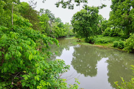 Ozarks Southfork River Country Home And Equine Farm For Sale - image 14
