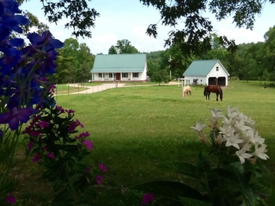 Ozarks Southfork River Country Home And Equine Farm For Sale - image 1