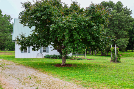 Ozarks Southfork River Country Home And Equine Farm For Sale - image 13