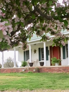 Ozarks Southfork River Country Home And Equine Farm For Sale - image 2