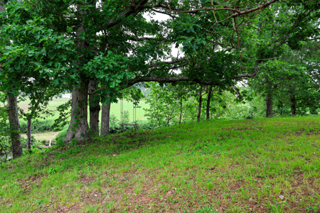 Ozarks Southfork River Country Home And Equine Farm For Sale - image 12
