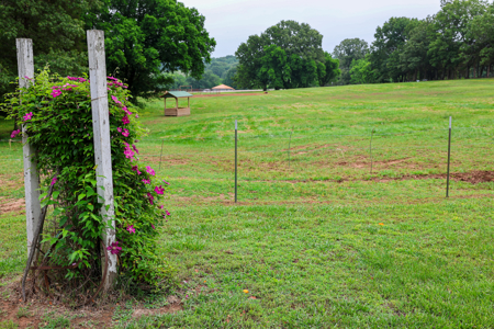Ozarks Southfork River Country Home And Equine Farm For Sale - image 18