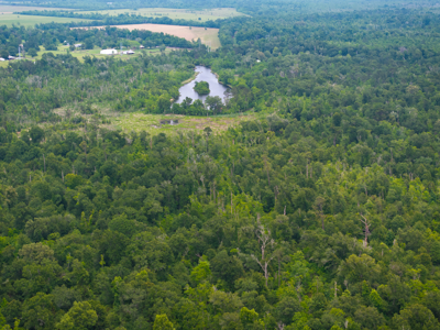Hunting Property between Lake Charles and Lafayette near I-10 - image 5