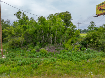 Hunting Property between Lake Charles and Lafayette near I-10 - image 11