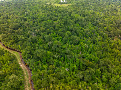 Hunting Property between Lake Charles and Lafayette near I-10 - image 7