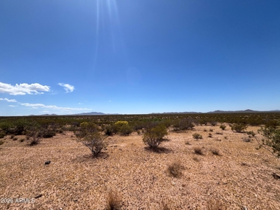 Wide-Open Desert Acreage For Sale in Florence, Arizona - image 4