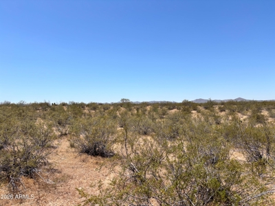 Wide-Open Desert Acreage For Sale in Florence, Arizona - image 2