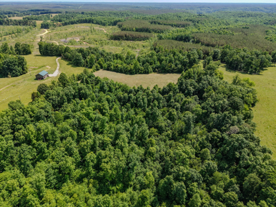 Tennessee Country Home on 20 Acres – Mini-Farm Paradise! - image 40
