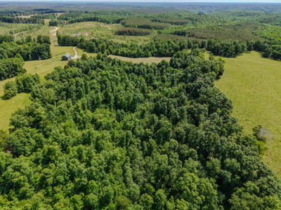 Tennessee Country Home on 20 Acres – Mini-Farm Paradise! - image 39