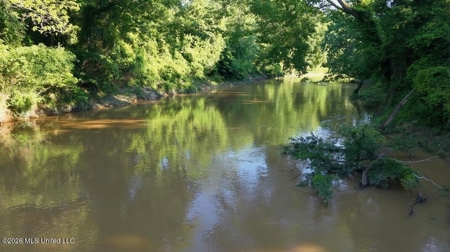Booger Bottom Plantation 635 Surveyed Acres Attala Co MS - image 29