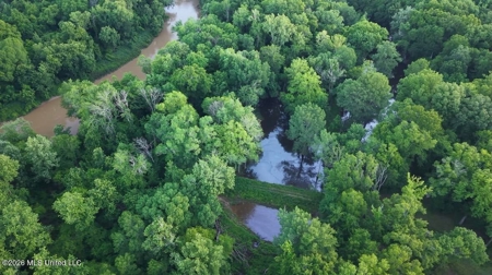 Booger Bottom Plantation 635 Surveyed Acres Attala Co MS - image 31