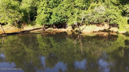 Booger Bottom Plantation 635 Surveyed Acres Attala Co MS - image 27