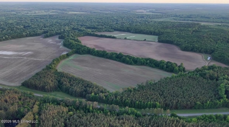 Booger Bottom Plantation 635 Surveyed Acres Attala Co MS - image 35