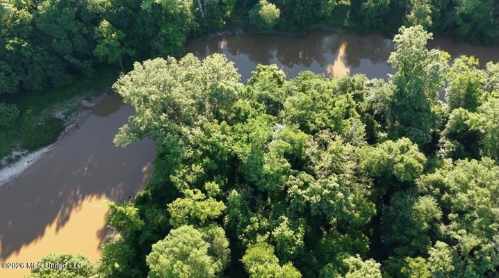 Booger Bottom Plantation 635 Surveyed Acres Attala Co MS