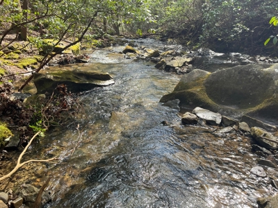 126 Acres on top of the Cumberland Plateau with Water Features - image 49