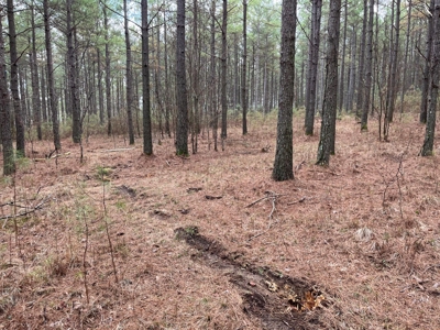 126 Acres on top of the Cumberland Plateau with Water Features - image 32