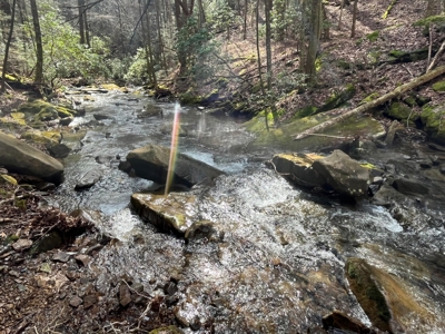126 Acres on top of the Cumberland Plateau with Water Features - image 26