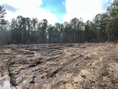 126 Acres on top of the Cumberland Plateau with Water Features - image 30