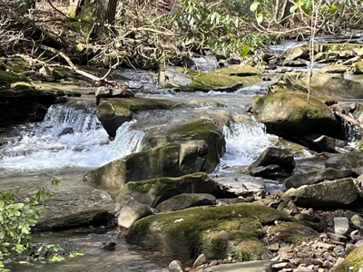 126 Acres on top of the Cumberland Plateau with Water Features - image 4