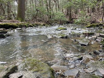 126 Acres on top of the Cumberland Plateau with Water Features - image 3