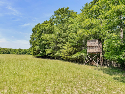 Tn Country Home Estate, 394 Ac., Private Retreat!! - image 44