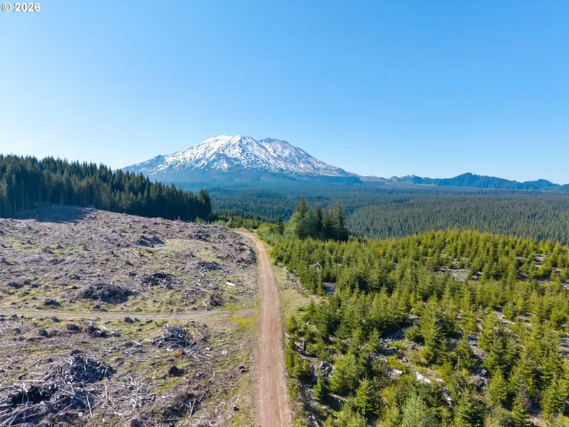 No Caption