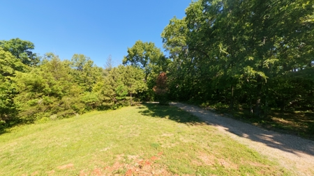Land For Sale Near White River - image 17