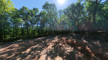 Land For Sale Near White River - image 20
