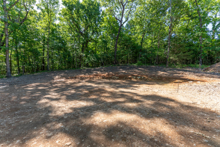 Land For Sale Near White River - image 24