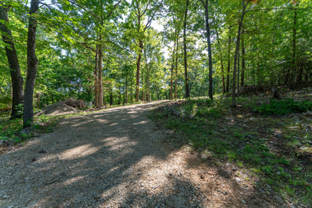 Land For Sale Near White River - image 6