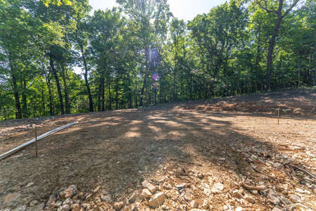 Land For Sale Near White River - image 28