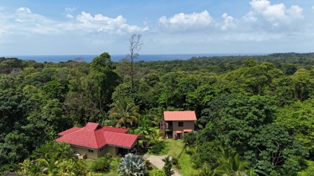 Tropical Villa with Pool & Casita in Bastimentos, Bocas del Toro - image 32