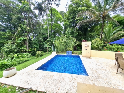 Tropical Villa with Pool & Casita in Bastimentos, Bocas del Toro - image 20