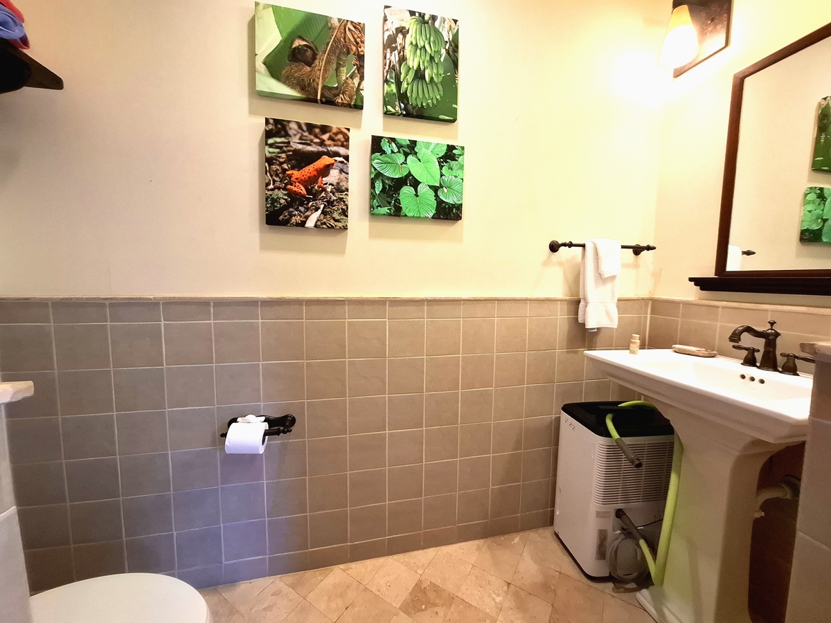 Jungle Villa with Casita & Pool — Red Frog Beach Resort, Isla Bastimentos - 19