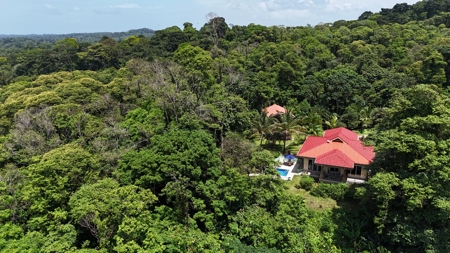 Tropical Villa with Pool & Casita in Bastimentos, Bocas del Toro - image 26