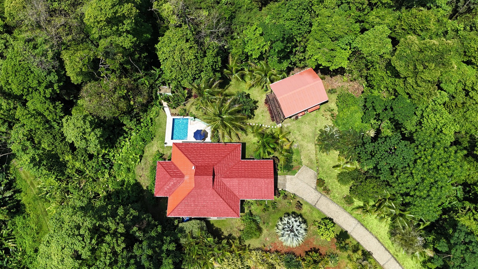 Jungle Villa with Casita & Pool — Red Frog Beach Resort, Isla Bastimentos - 3