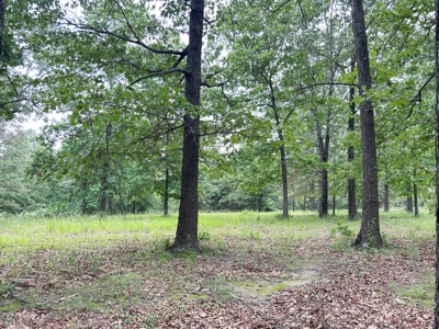 38+ Acre Country Retreat Near Hardy, AR – Home, Shop, Private - image 4