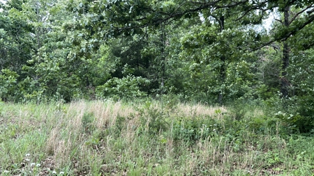 38+ Acre Country Retreat Near Hardy, AR – Home, Shop, Private - image 37