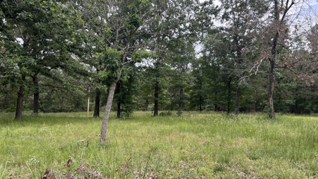 38+ Acre Country Retreat Near Hardy, AR – Home, Shop, Private - image 39