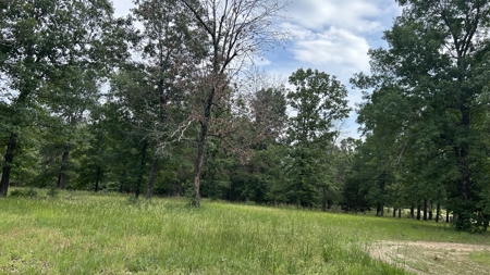38+ Acre Country Retreat Near Hardy, AR – Home, Shop, Private - image 40